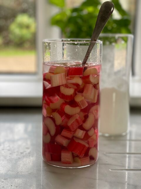Rhubarb Vodka