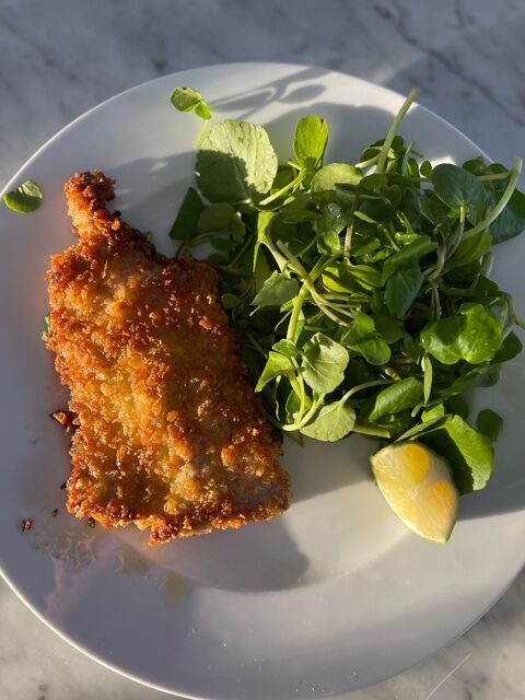 Veal Schnitzel